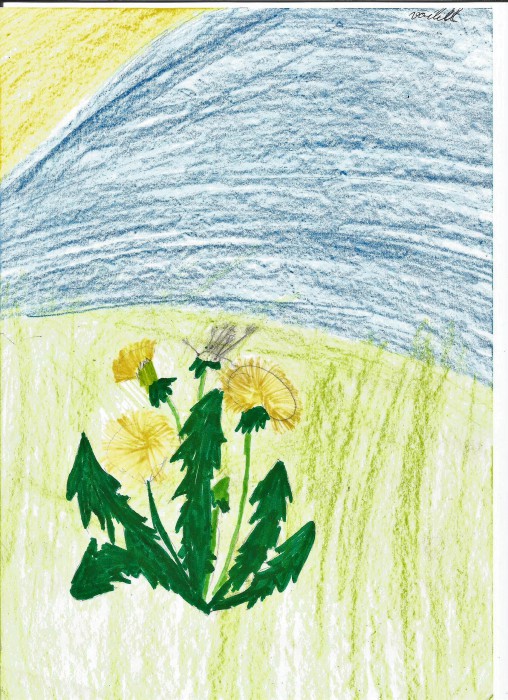 Image 01