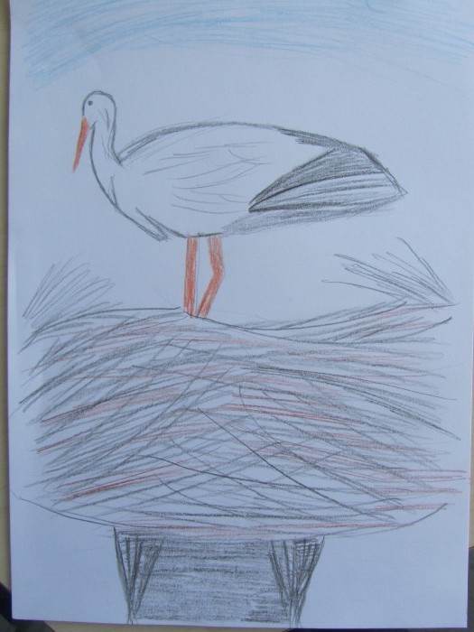Image 01