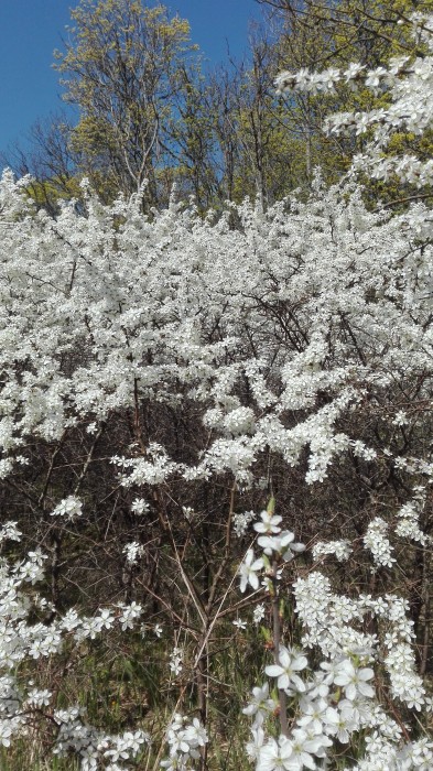 Image 01