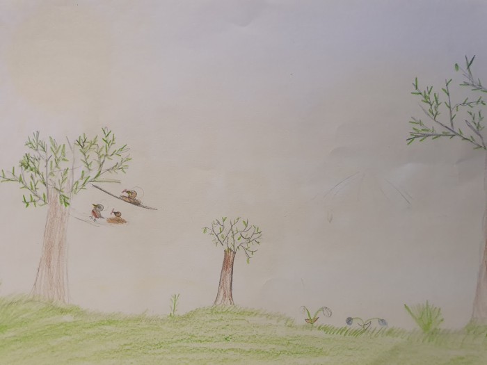 Image 01