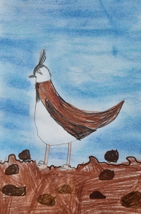 Image 01