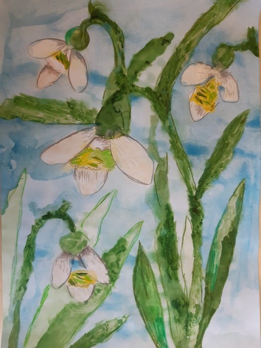 Image 01