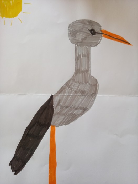 Image 01