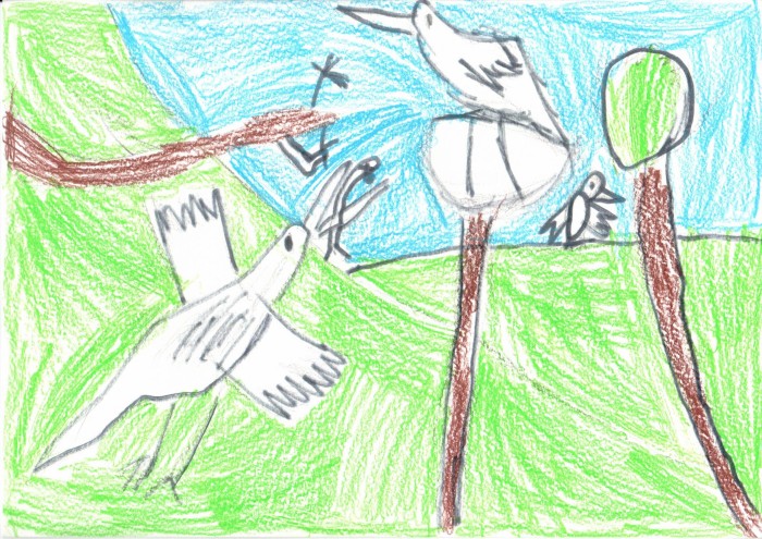Image 01