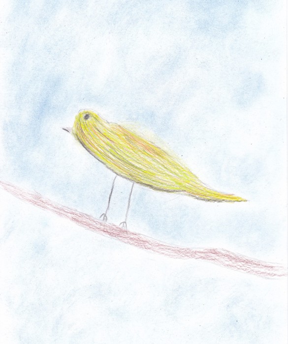Image 01