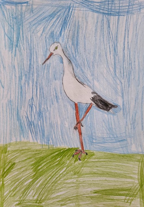 Image 01