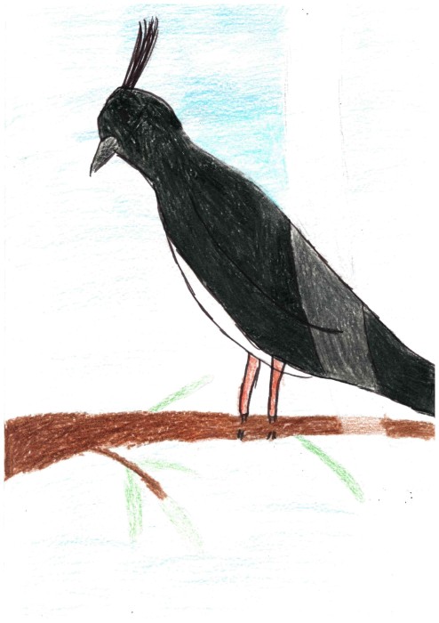 Image 01