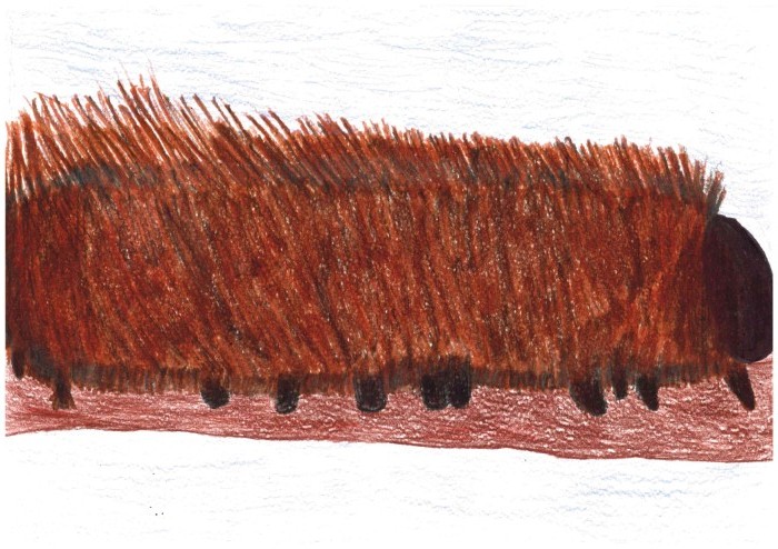 Image 01