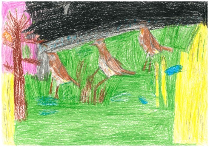Image 01