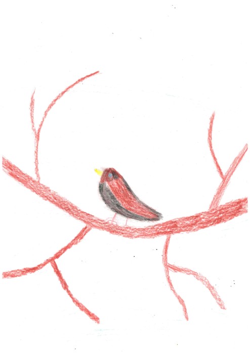 Image 01