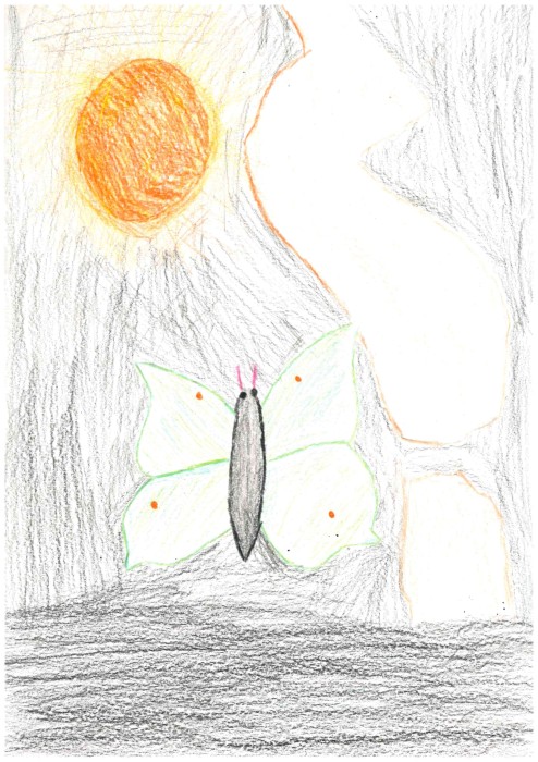 Image 01