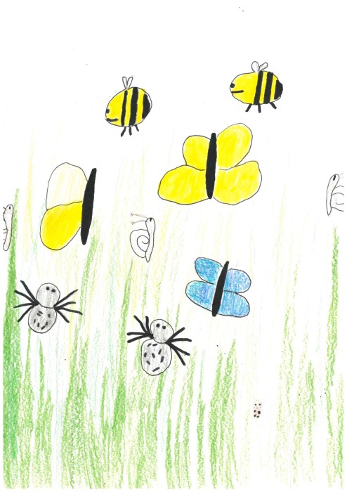 Image 01