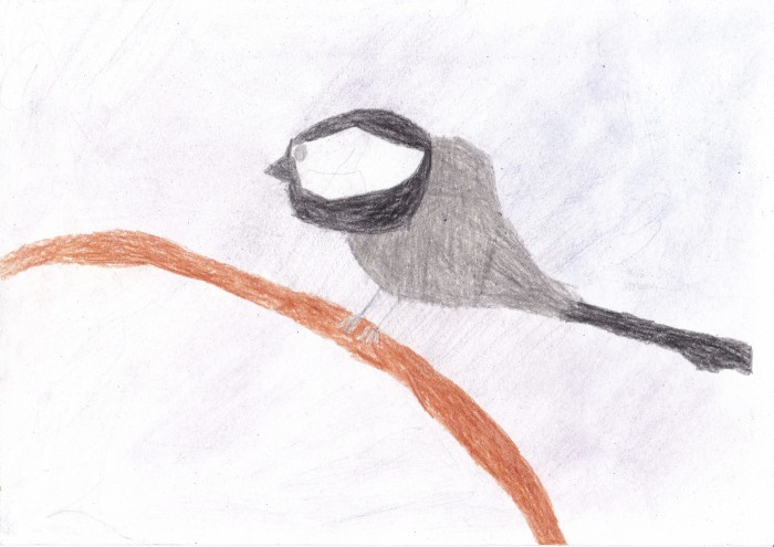 Image 01