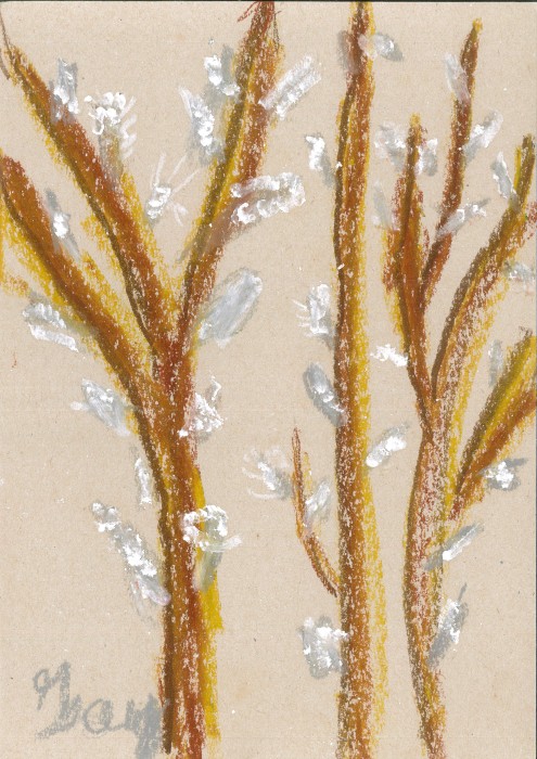 Image 01