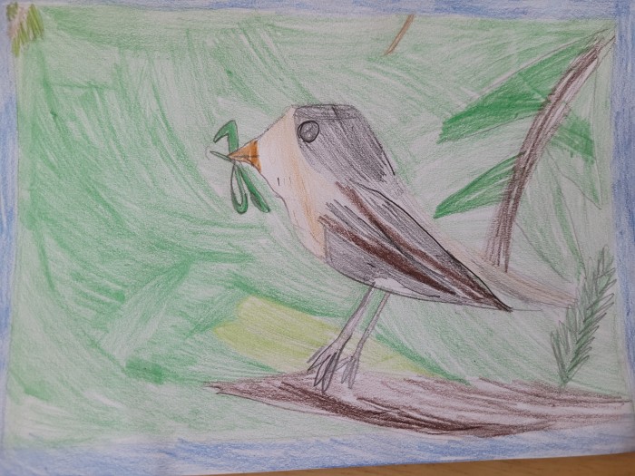 Image 01