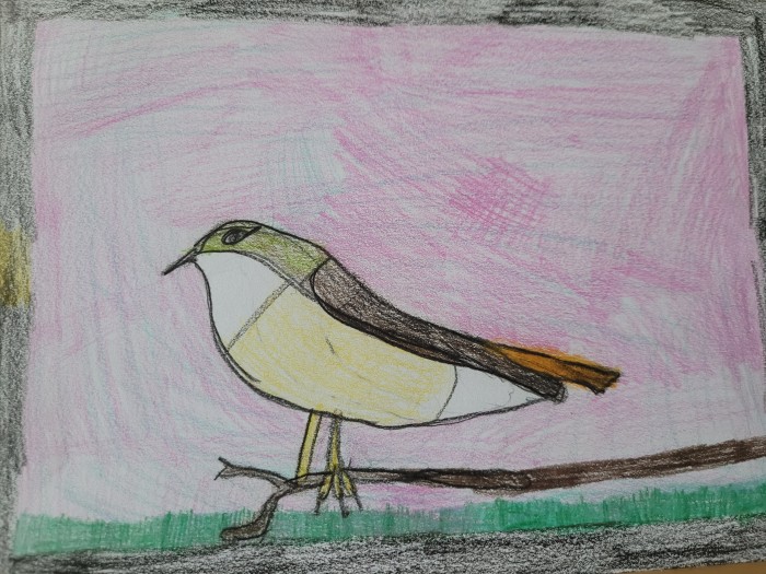 Image 01