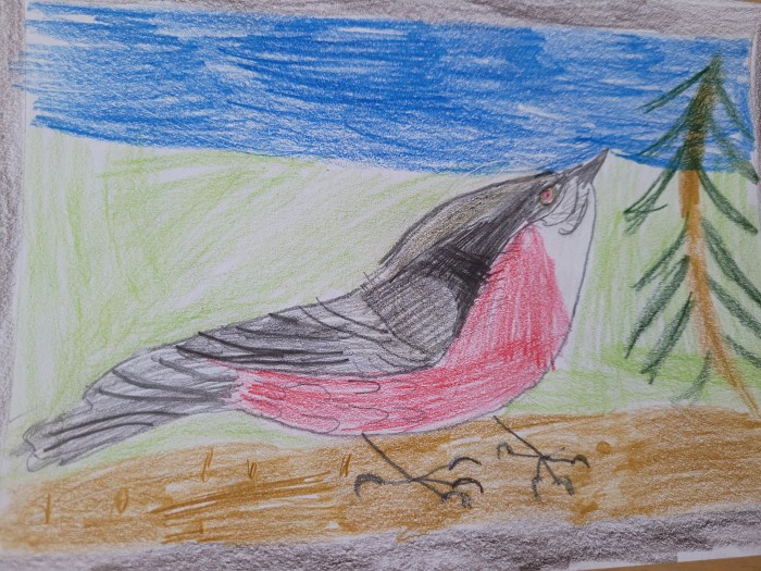 Image 01