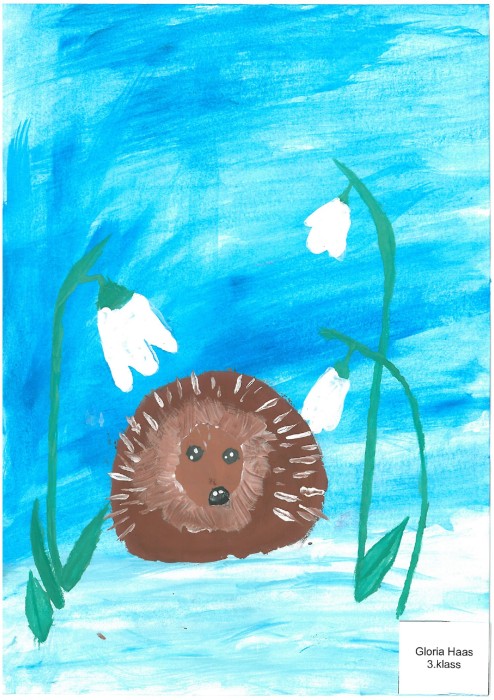 Image 01