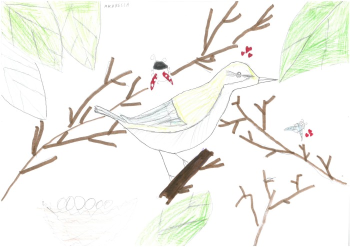 Image 01
