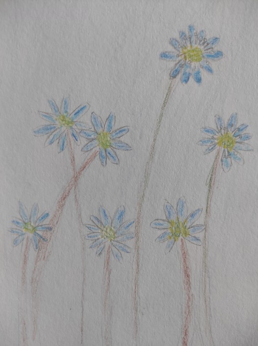Image 01
